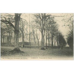 carte postale ancienne 22 LAMBALLE. Personnages Promenades du Château