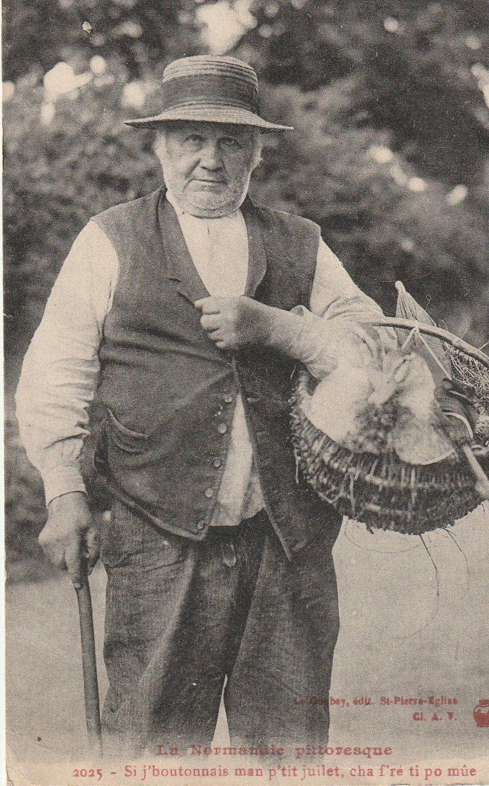 REGIONS. La Normandie pittoresque Paysan avec ses canards 1927