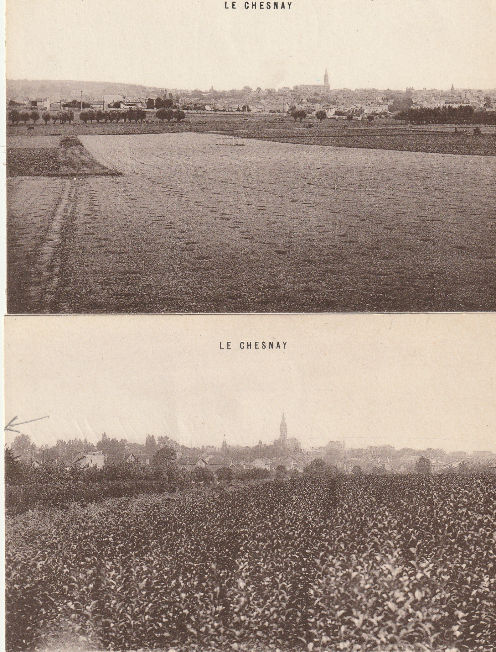 2 cpa 78 LE CHESNAY. Les Champs et les Vignes