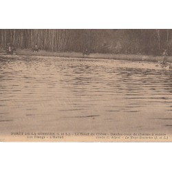 37 FORÊT DE LA GUERCHE. Le Rond du Chêne rendez-vous de chasses à courre. Les Etangs l'Hallali 1945