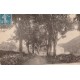 20 GUITERA-LES-BAINS. Les Eucalyptus Rue principale vers 1925...