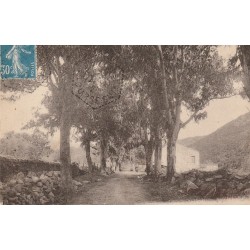 20 GUITERA-LES-BAINS. Les Eucalyptus Rue principale vers 1925...