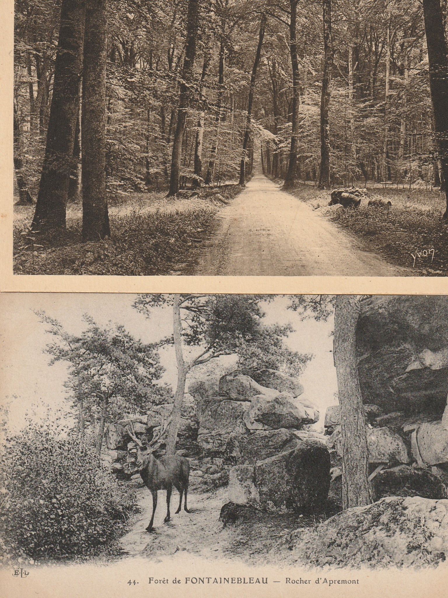2 x cpa 77 Forêt de Fontainebleau. Ronde vers Barbizon et Cerf au Rocher d'Apremont