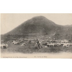 63 LE PUY DE DÔME. Berger et ses moutons 1904