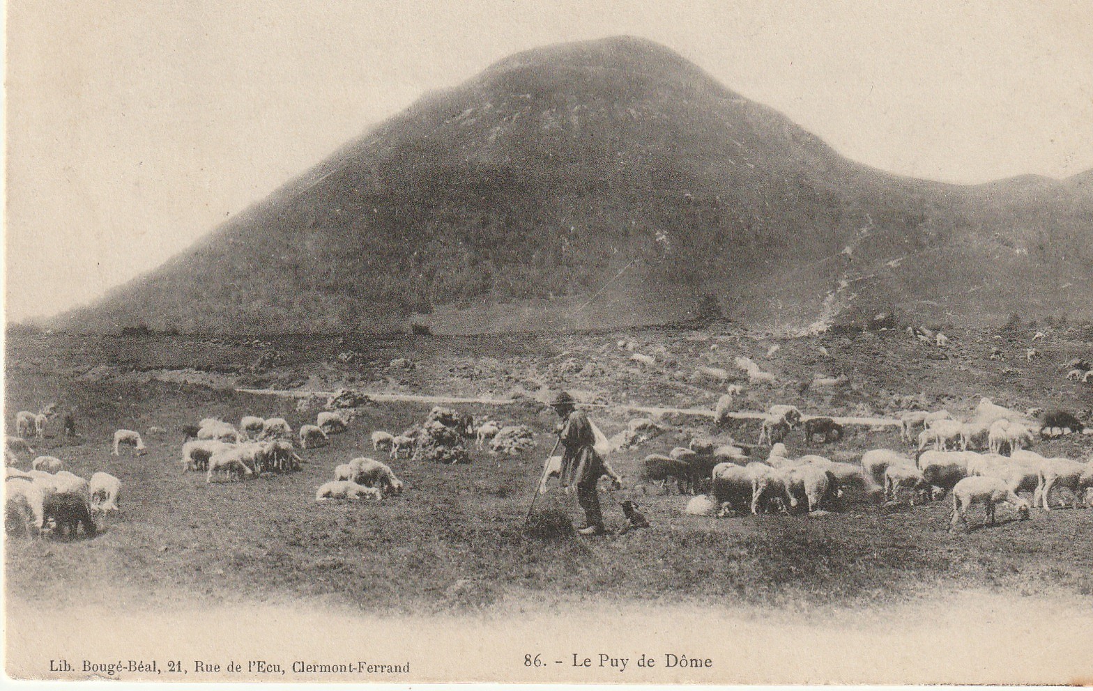 63 LE PUY DE DÔME. Berger et ses moutons 1904