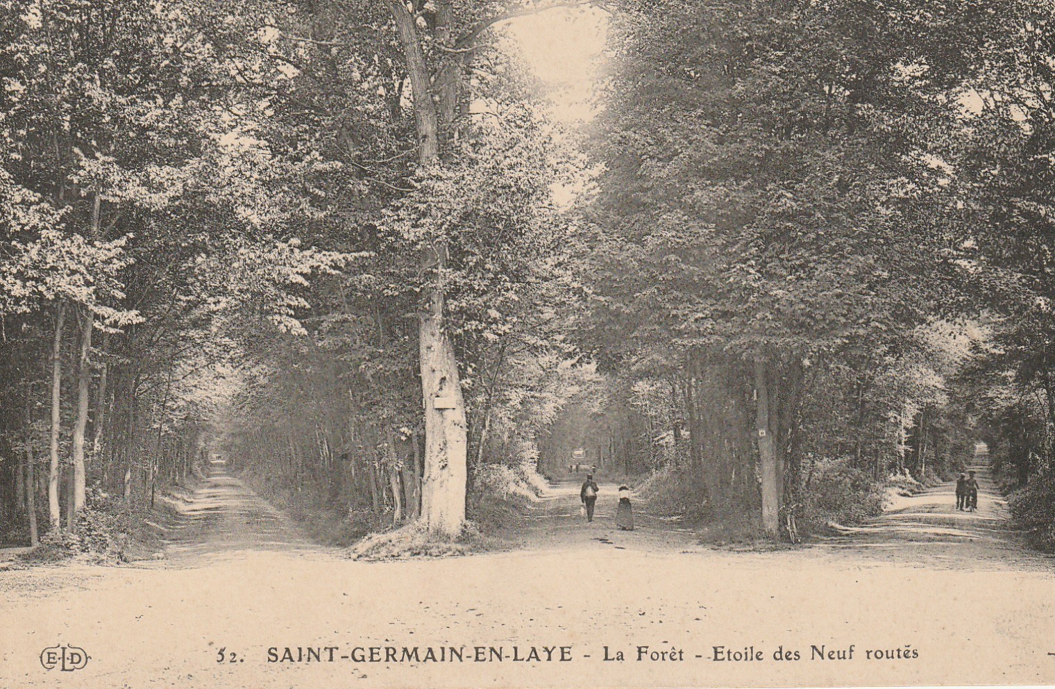 78 SAINT-GERMAIN-EN-LAYE. La Forêt Etoile des Neuf routes