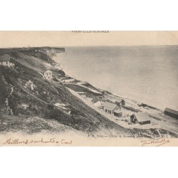 14 VIERVILLE-SUR-MER. Les Villas sur la Plage 1903