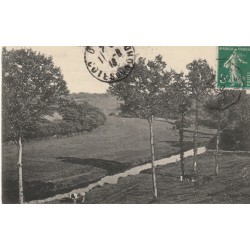29 ROSPORDEN. Vallée de l'Aven avec vaches au Pâturage 1913