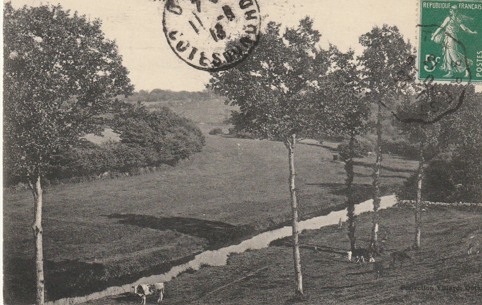 29 ROSPORDEN. Vallée de l'Aven avec vaches au Pâturage 1913