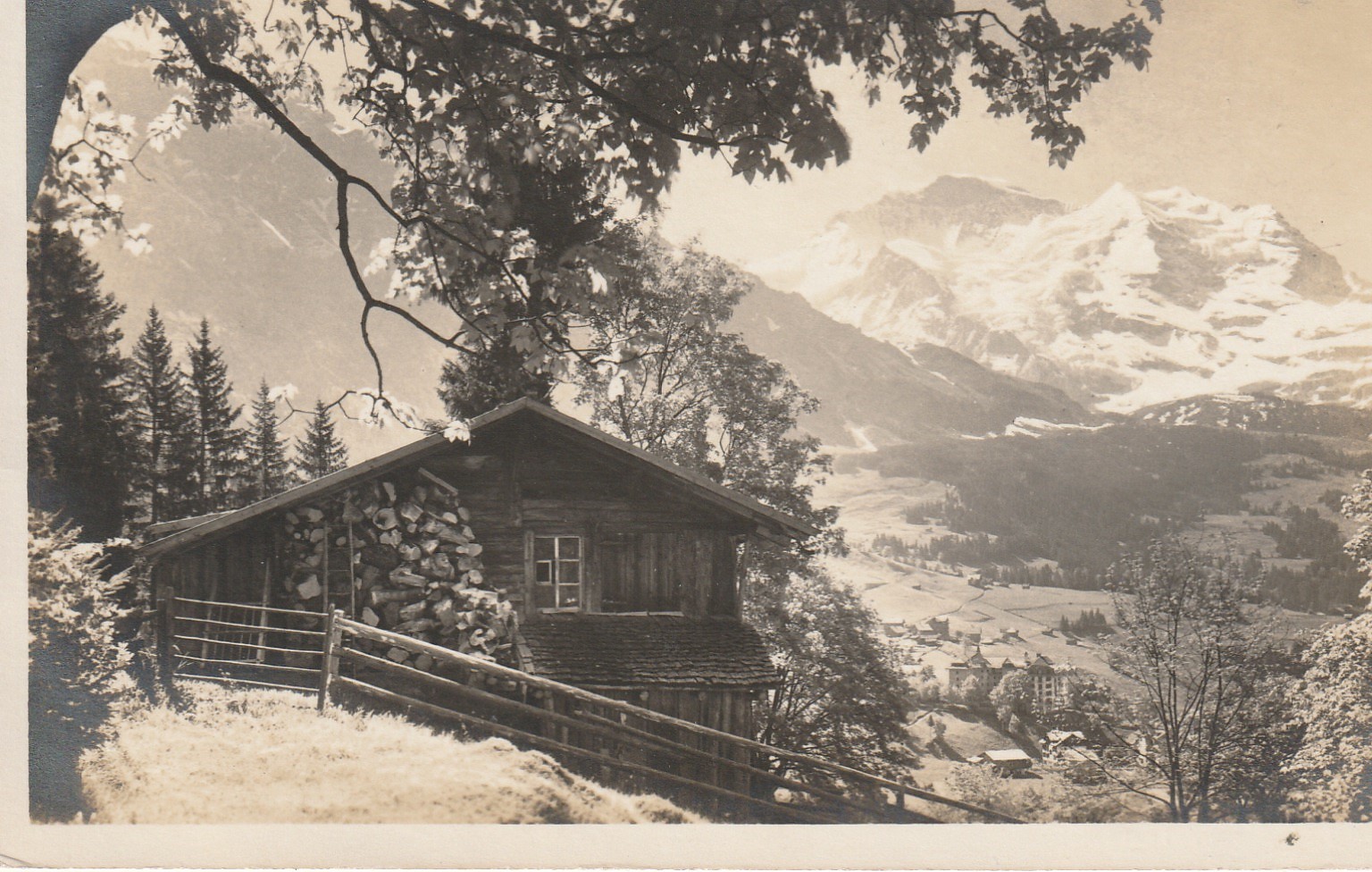 SUISSE Bei Wengen. Blick auf die Jungfrau 4166m. Photo cpa