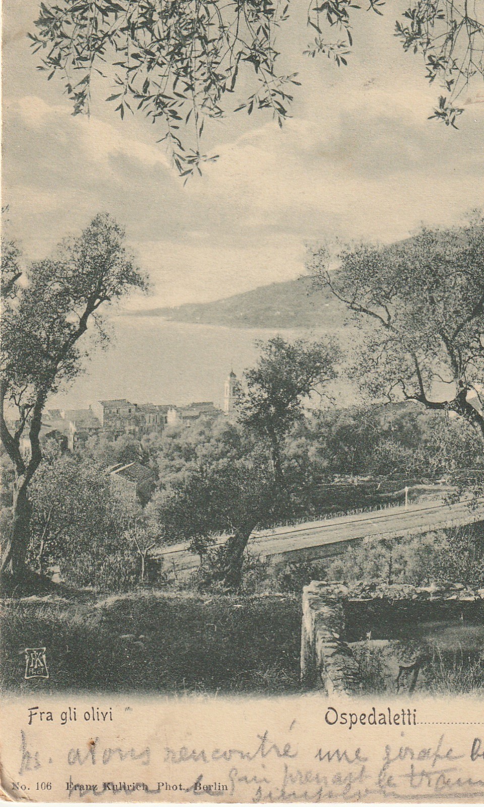 Italia OSPEDALETTI. Fra gli olivi 1907