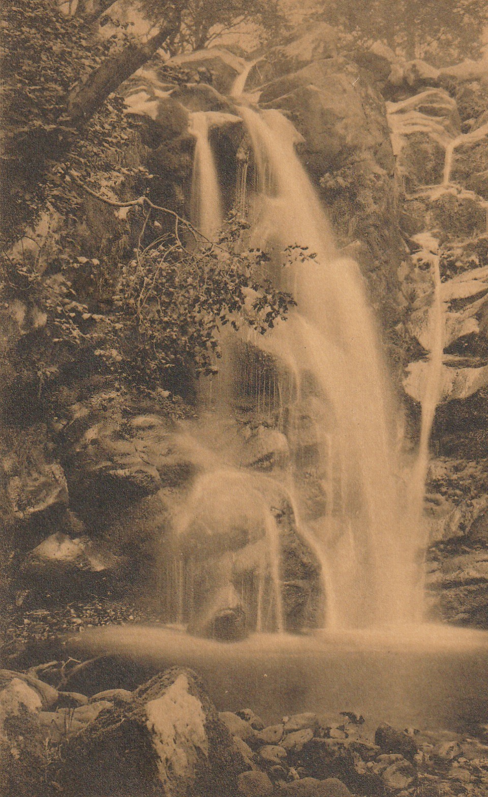 3 x cpa Royaume-Uni BOLTON ABBEY. Woods and Waterfall, Hall