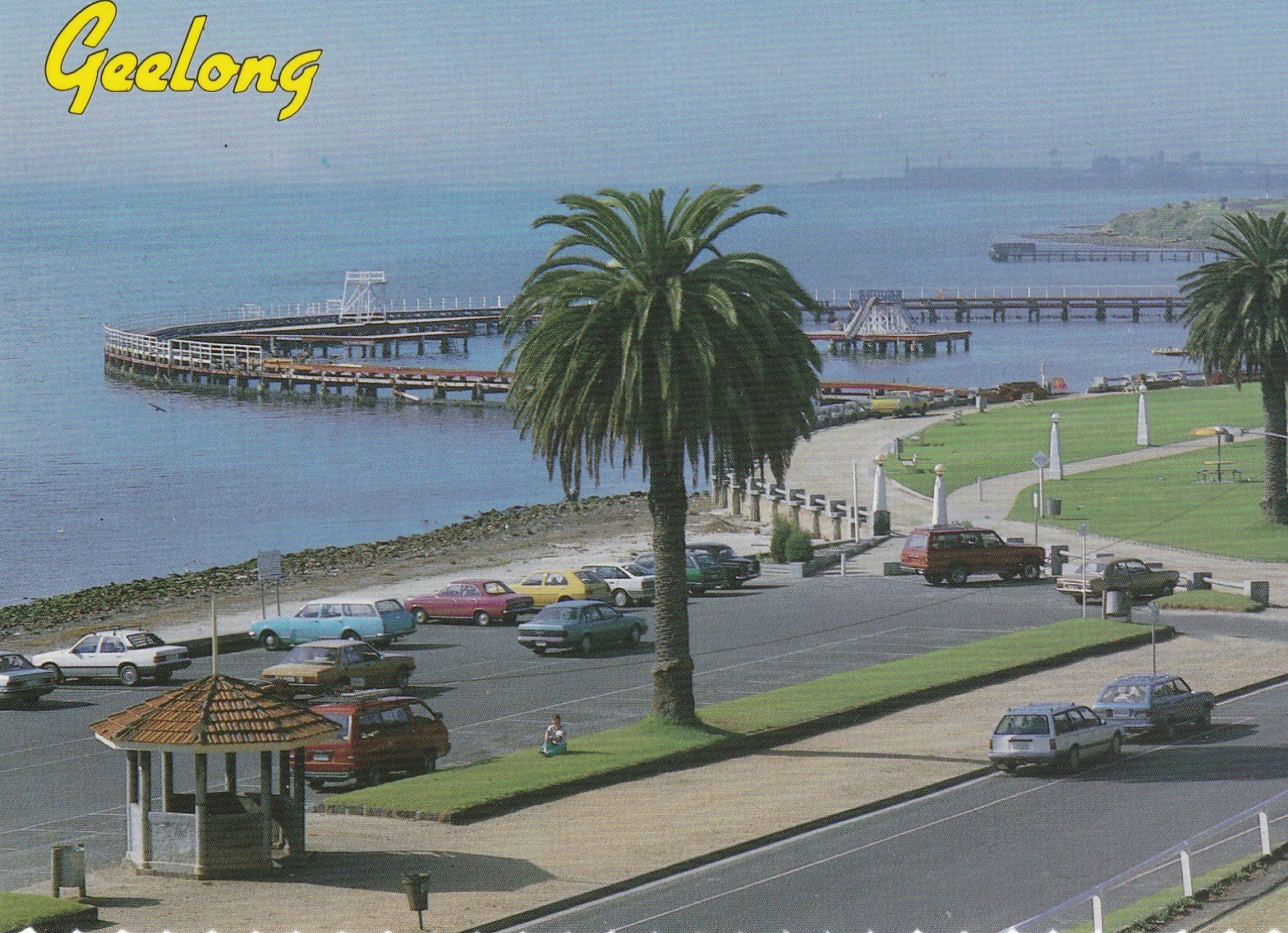 Photo cpsm grand format Australie GEELONG Victoria Eastern Beach