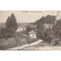 88 CHATENOIS. Route de Neufchâteau 1921