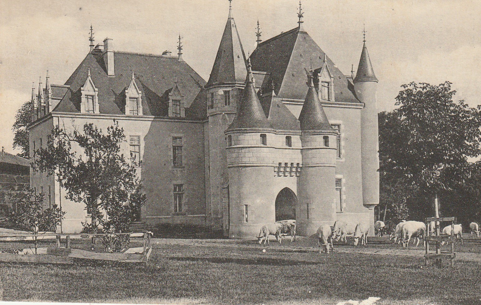 63 COURPIERE. Château des Rioux avec vaches au Pré 1917