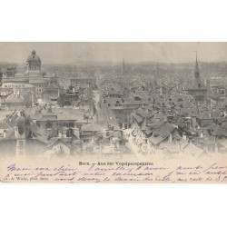 Suisse BERN. Aus der Vogelperspektive 1901