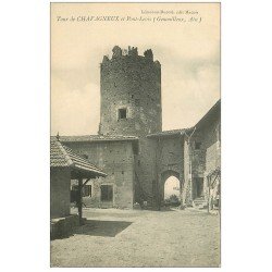 carte postale ancienne 01 Genouilleux. Tour de Chavagneux et Pont Levis