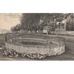 40 DAX. Etablissement Thermal des Baignots Bassin à Boues avec canards 1907