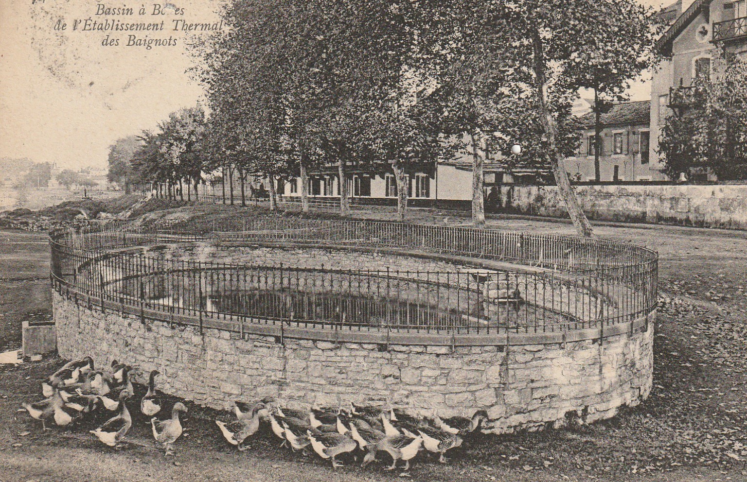 40 DAX. Etablissement Thermal des Baignots Bassin à Boues avec canards 1907
