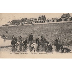 80 CAYEUX-SUR-MER. La Plage à marée basse avec nombreux enfants 1924