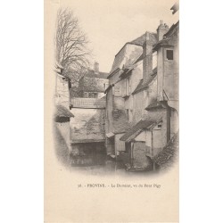77 PROVINS. Le Durteint vu du Pont Pigy