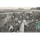 76 DIEPPE. Chercheurs de Coquillages 1910