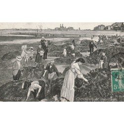 76 DIEPPE. Chercheurs de Coquillages 1910