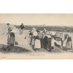 17 ILE DE RE. Charroi du Sel avec mules dans les Marais salants