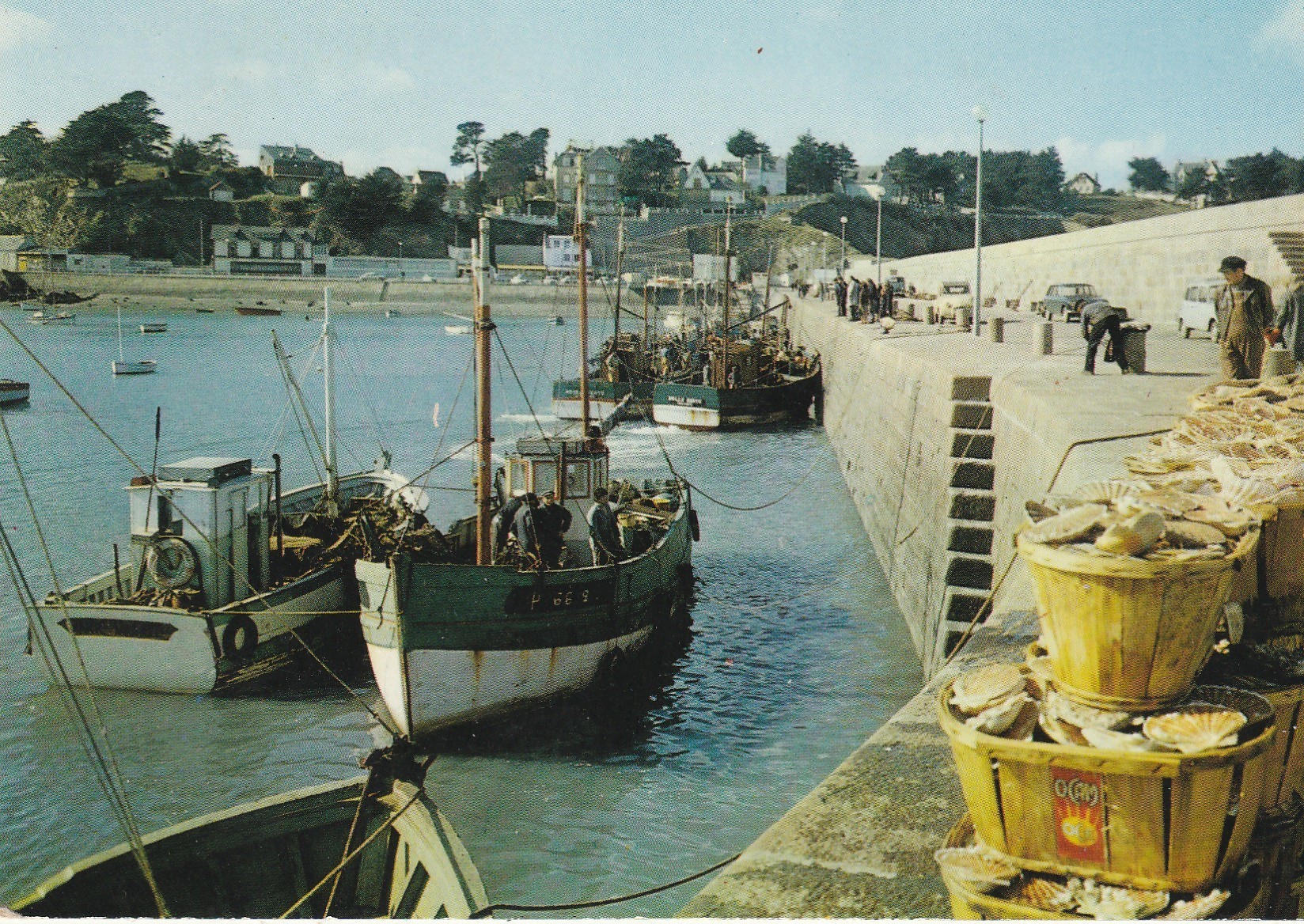 Cpsm grand format 22 BINIC. Le débarquement des coquilles Saint-Jacques 1974