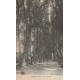 66 PERPIGNAN. Les Platanes petite animation 1915