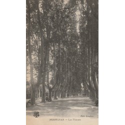 66 PERPIGNAN. Les Platanes petite animation 1915