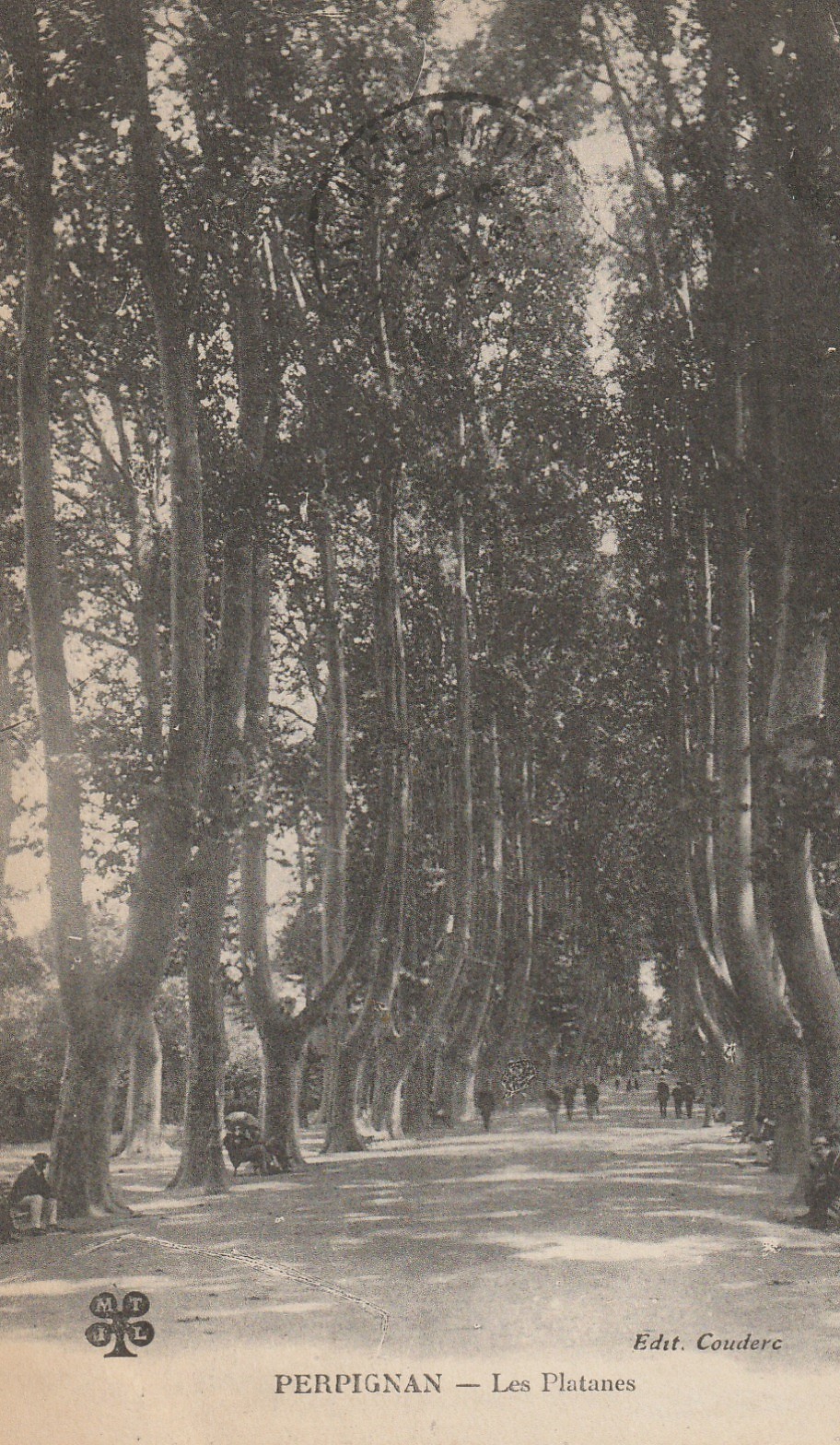 66 PERPIGNAN. Les Platanes petite animation 1915