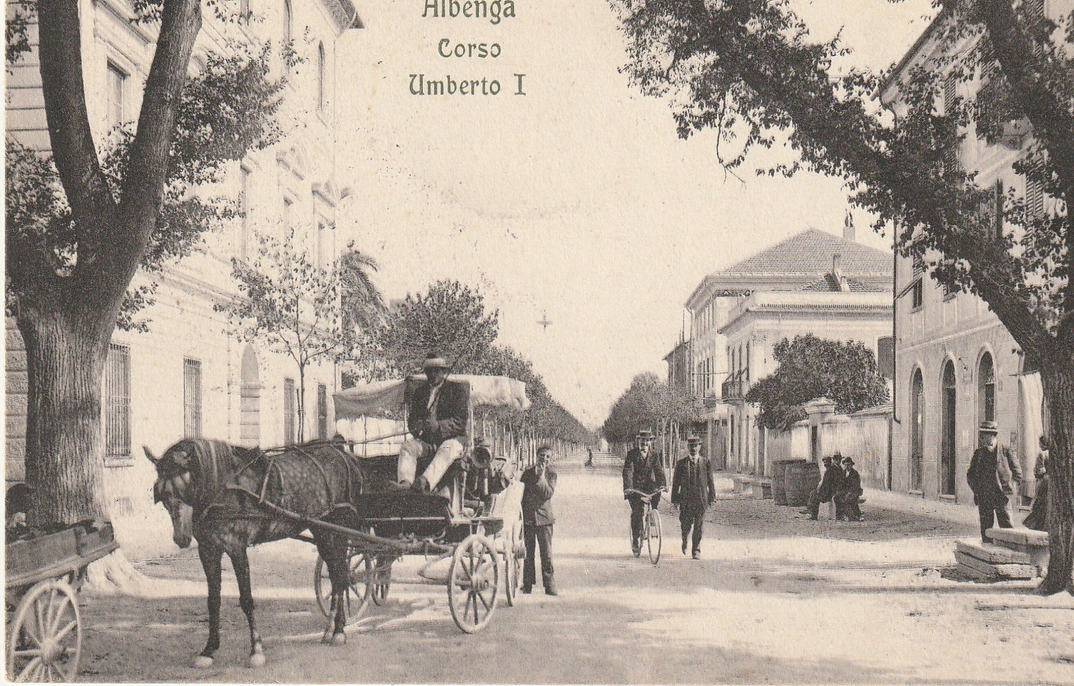 Italia ALBENGA. Attelage sur Corso Umberto Ier 1906