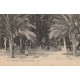 20 AJACCIO. Place des Palmiers bien animée 1924
