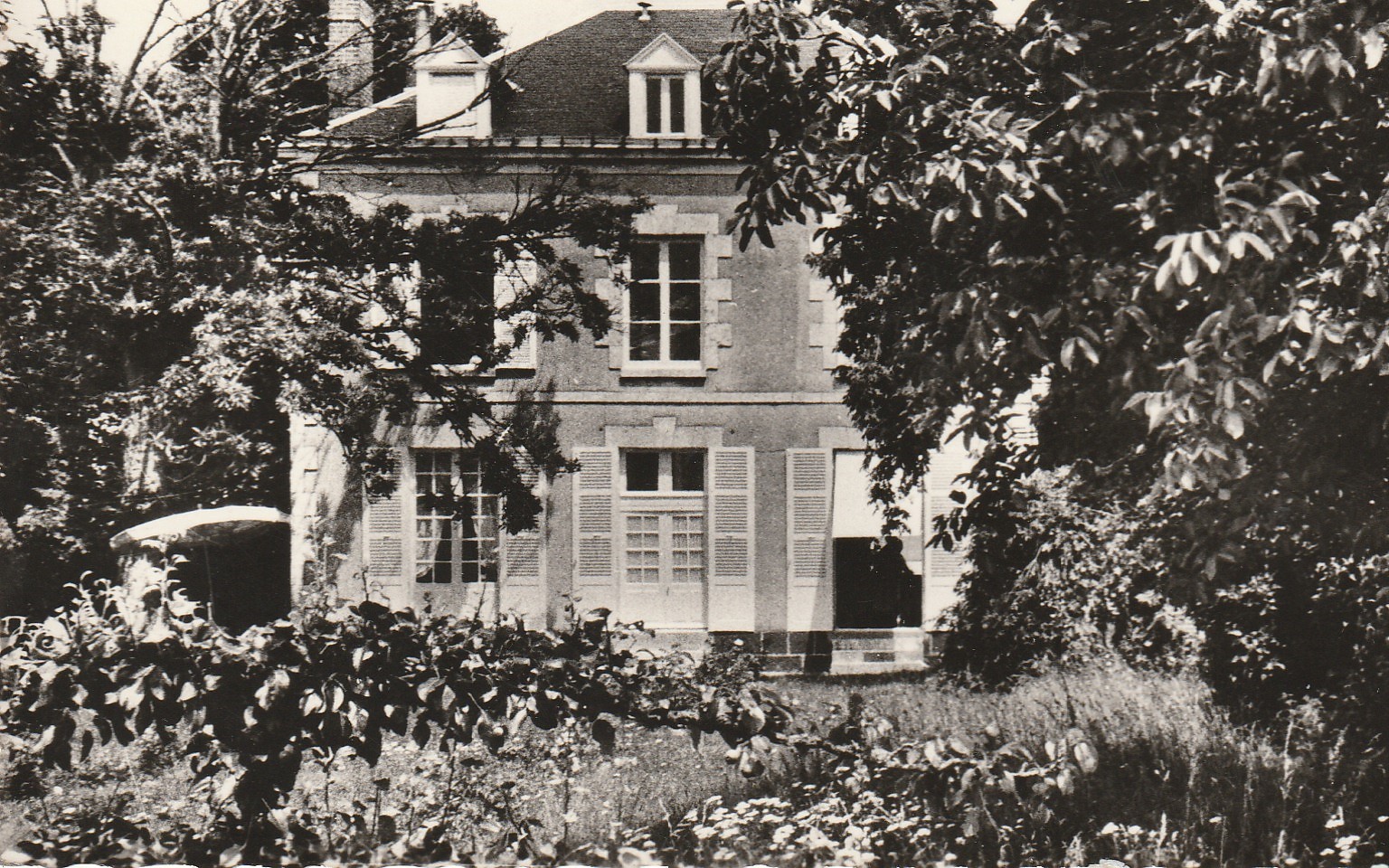 Photo cpsm petit format 89 BLENEAU. Villa Bel-Air carte rare...