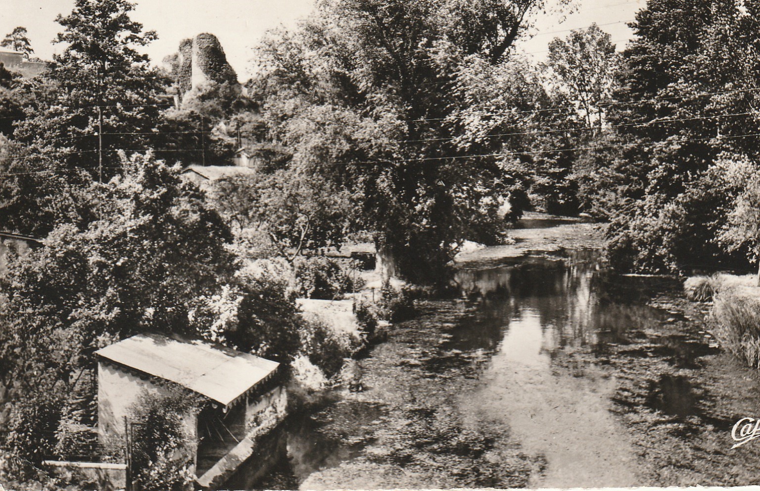 Photo cpsm petit format 86 GENCAY. La Rivière vers le Château 1964