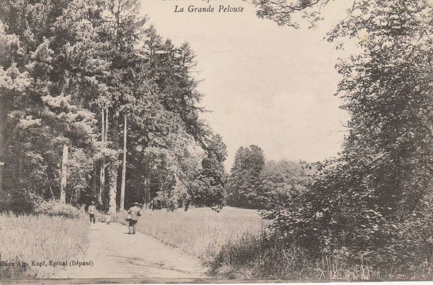 88 Château d'EPINAL. La grande Pelouse 1916