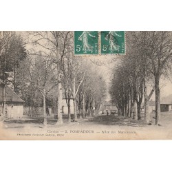 19 POMPADOUR. Allée des Marronniers en Corrèze 1918
