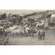 15 COREN. Auvergne. Intérieur d'une Ferme avec Berger, moutons et chien
