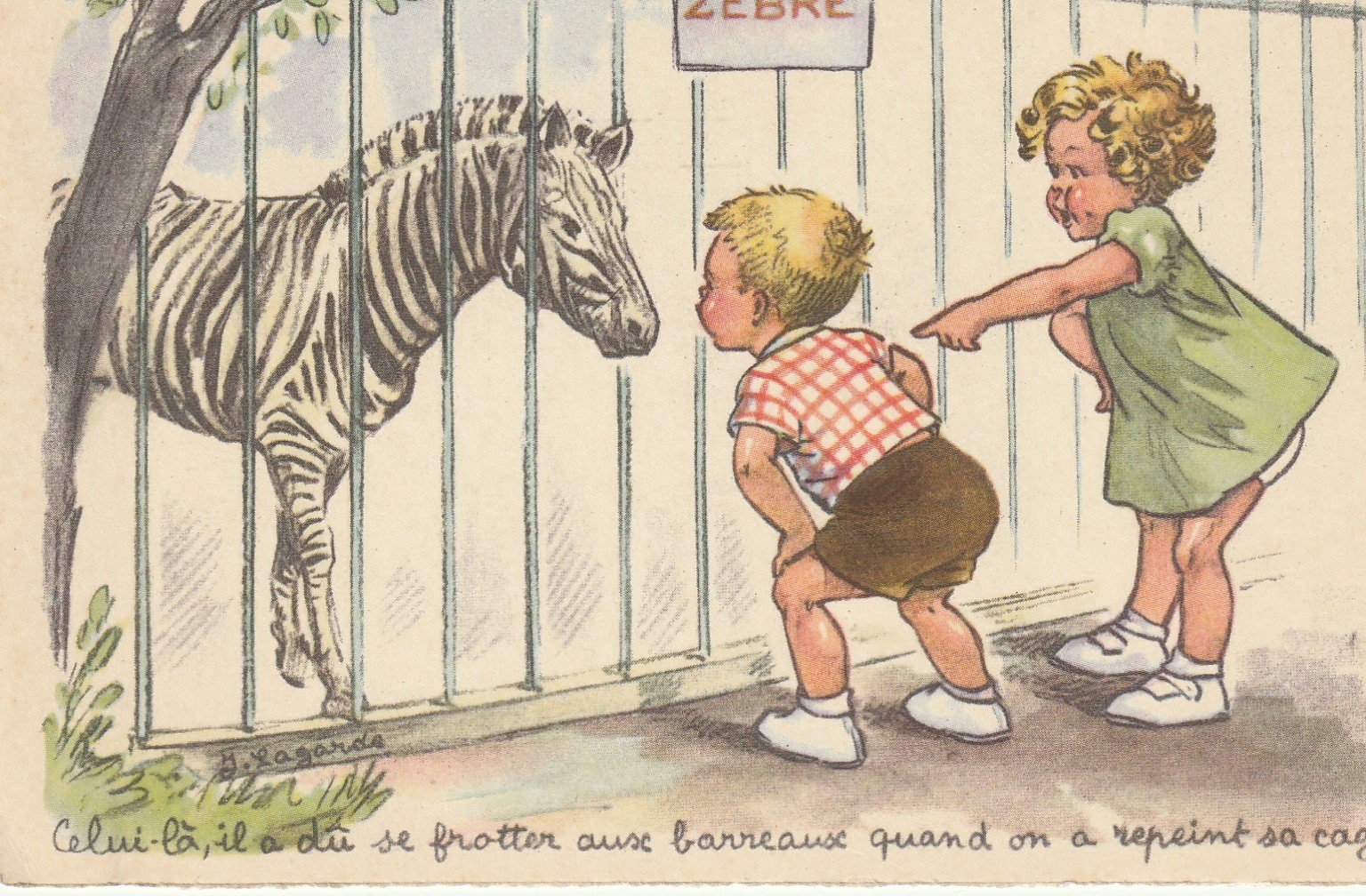 Illustrateur LAGARDE "Zèbre" au Zoo