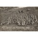 Photo cpsm petit format Militaires BITCHE. Souvenir des Manoeuvres 1926