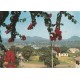 Photo Cpsm grand format CAMEROUN. Vue de Dschang