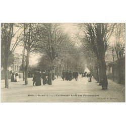 carte postale ancienne 22 SAINT-BRIEUC. La Grande allée des Promenades (défaut)