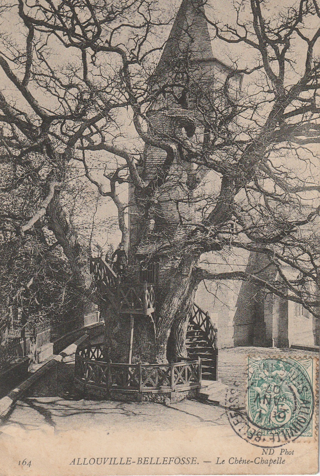 (Al) 76 ALLOUVILLE-BELLEFOSSE. Le Chêne-Chapelle 1907