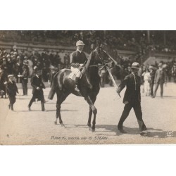 Photo cpa Sports HIPPISME Courses Hippodrome Paris RAMUS monté par STERN