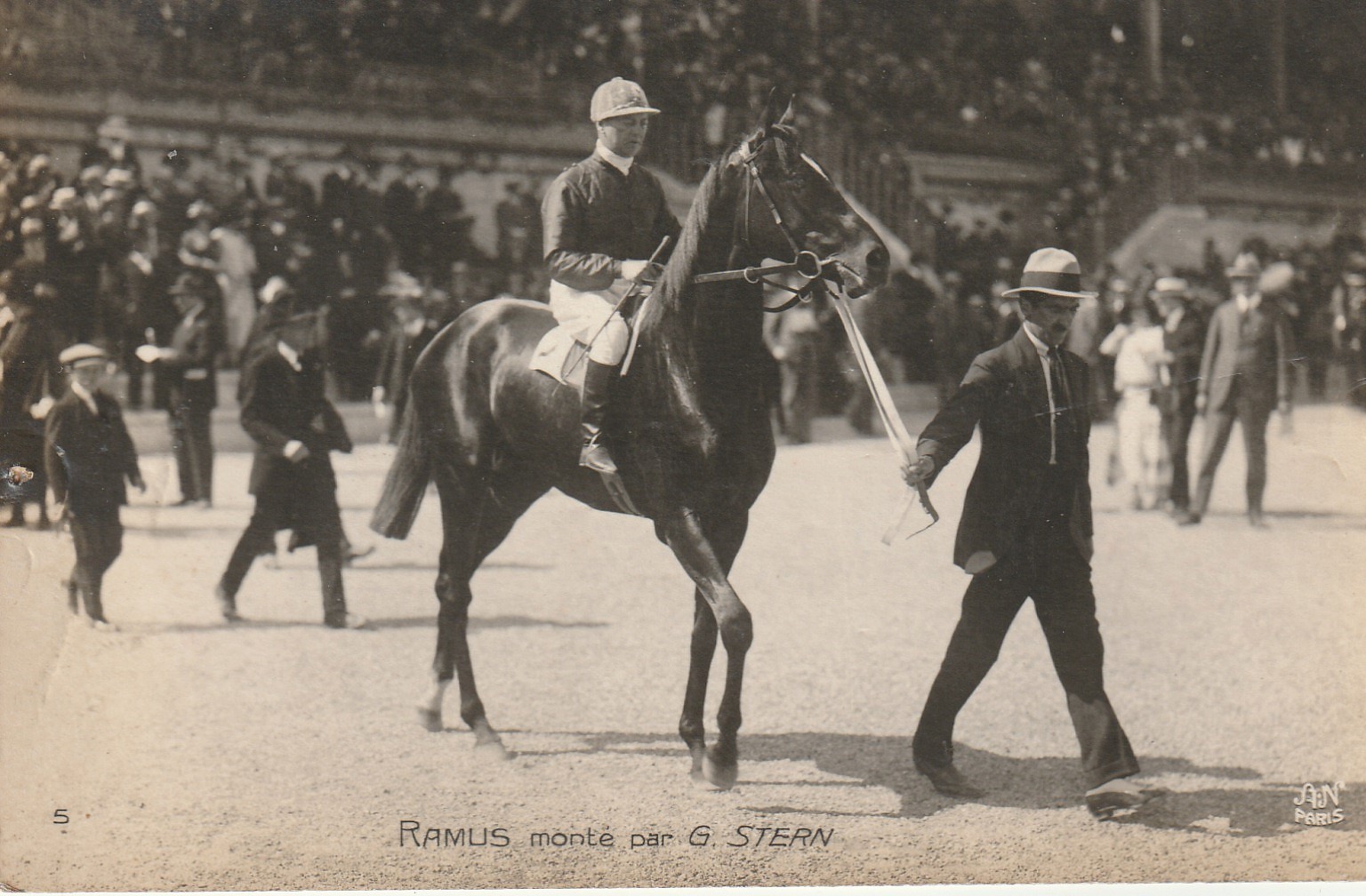 Photo cpa Sports HIPPISME Courses Hippodrome Paris RAMUS monté par STERN