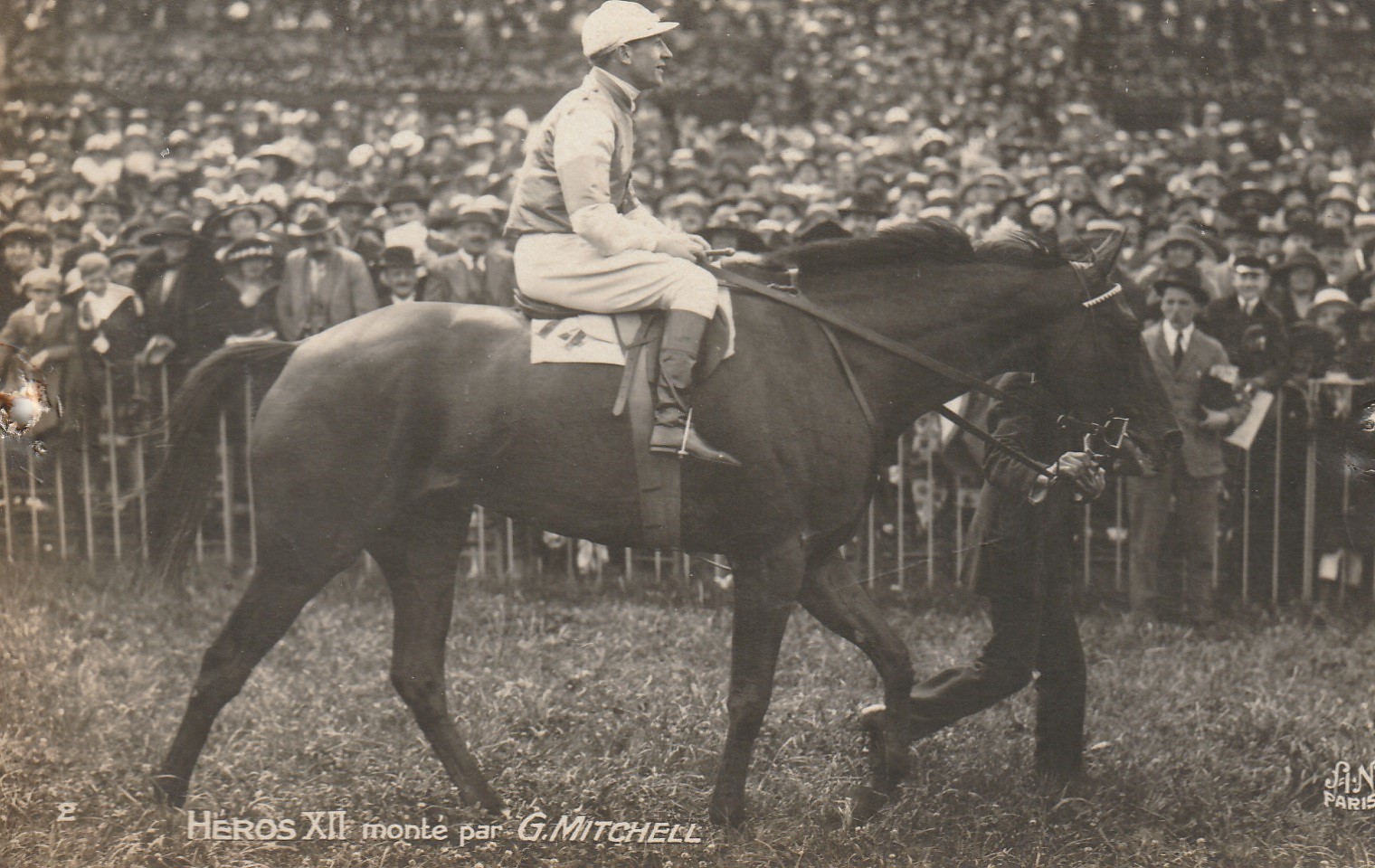 Photo cpa Sports HIPPISME Courses Hippodrome Paris. HEROS XII monté par MITCHELL (2 trous de punaise)...