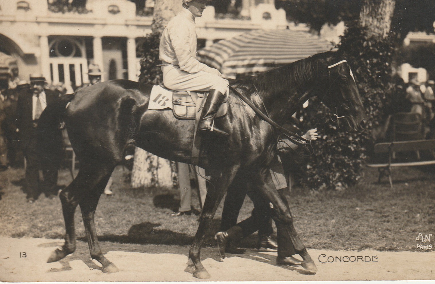 Photo cpa Sports HIPPISME Courses Hippodrome Paris. CONCORDE et son Jockey