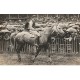 Photo cpa Sports HIPPISME Courses Hippodrome Paris. Cheval WATERFORD monté par HEAD