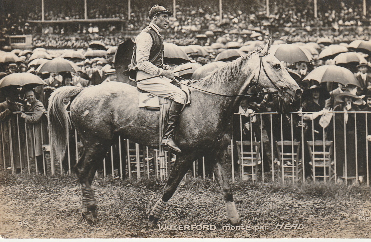 Photo cpa Sports HIPPISME Courses Hippodrome Paris. Cheval WATERFORD monté par HEAD